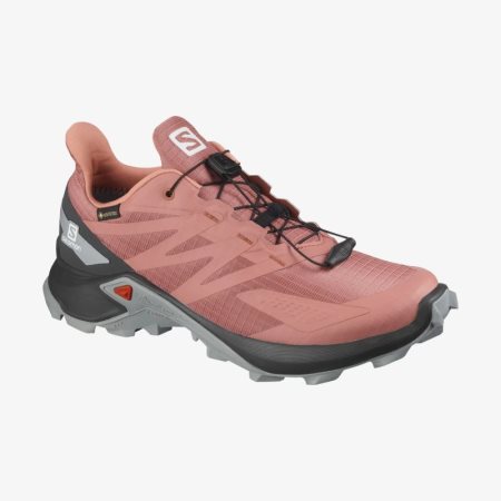 Salomon SUPERCROSS BLAST GTX W Laufschuhe Damen Orange [8NMB-Z]